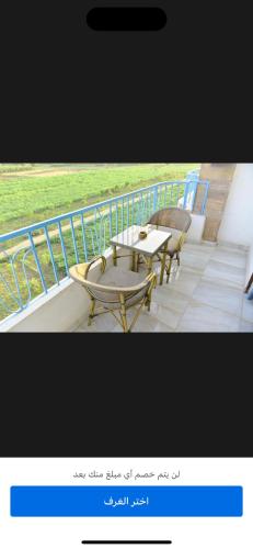 Holiday in - image 12