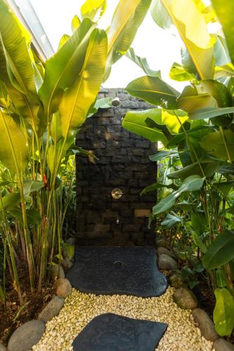 Villa Guarumo - image 5
