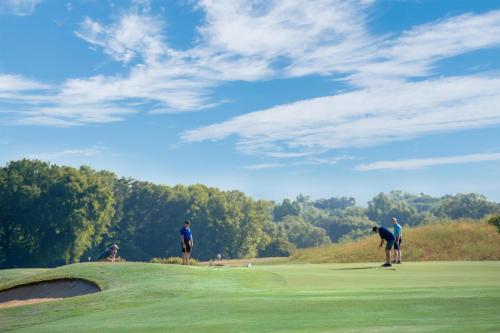 Embassy Suites Charlotte - Concord/Golf Resort & Spa - image 41