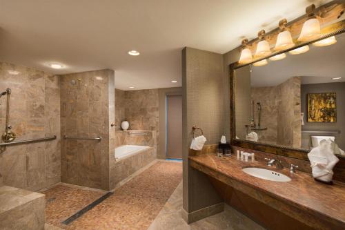 Embassy Suites by Hilton Dallas Frisco Hotel & Convention Center - image 28