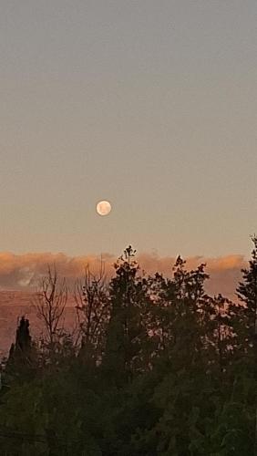 Buena Vista