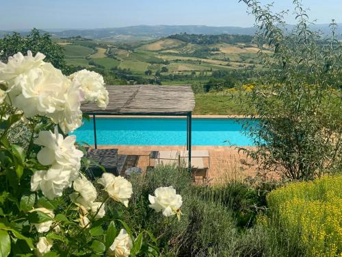 Panoramic Villa Among Vineyards In Orvieto