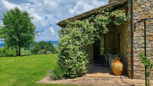 Udvendig, Panoramic Villa Among Vineyards In Orvieto in Castel Viscardo