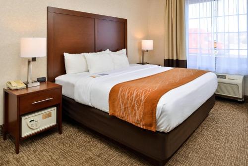 Comfort Inn & Suites Madison North in De Forest, USA