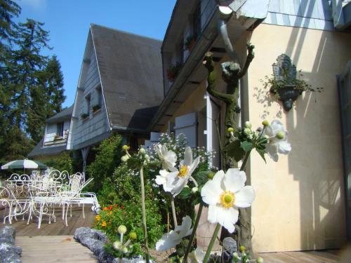Le jardin de Saint Jean - image 9