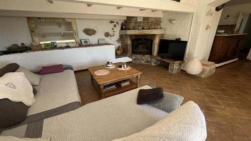 Maison provençale avec piscine privée (Maison provencale avec piscine privee) in Andon (Provence-Alpes-Cote d'Azur)