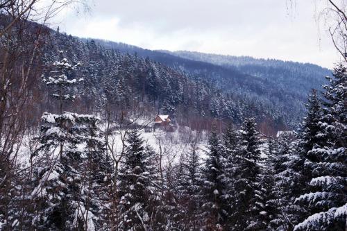 Viesnīcas āriene, Wesoły domek na czerwonym szlaku (Wesoly domek na czerwonym szlaku) in Żmiąca