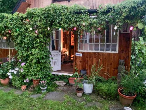 Viesnīcas āriene, Wesoły domek na czerwonym szlaku (Wesoly domek na czerwonym szlaku) in Żmiąca