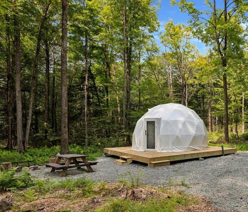 . Cozy Mountain Dome Escape Near Beautiful Lakes and Nature in Lincoln, Maine