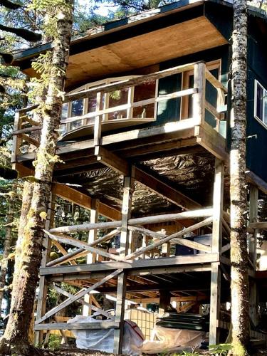 . Cute Cabin Nestled in the Trees with Magical Forest Views for a Romantic Escape in Nature Whale Island, Alaska