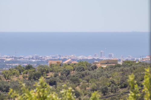 Villa Angel - image 30