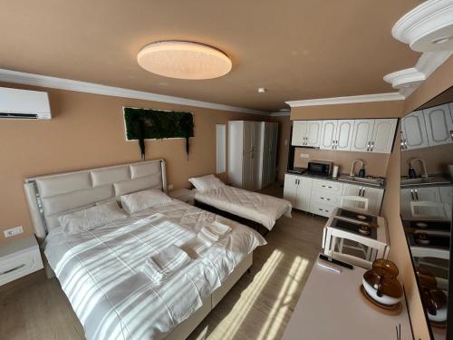 Emanuela Home in Piatra Neamt