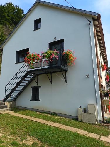 Le logis aux digitales in La Croix-aux-Mines