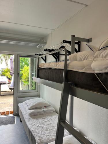 Danhostel Rønde Room Type - Family Room with Private Bathroom