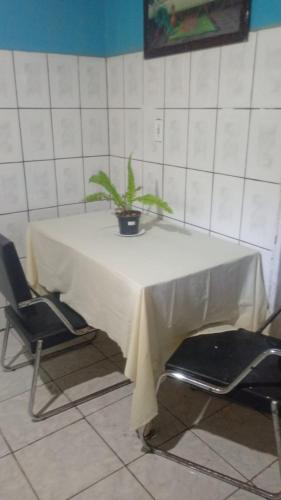 Andorinhas in Praia do Puruba