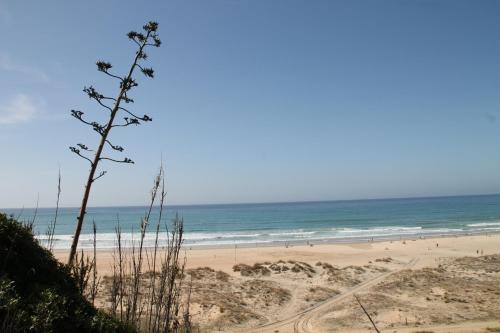 Apartamento Cañaveral Playa Conil - image 2