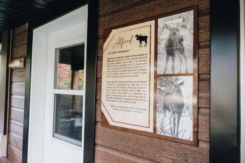 Nature & Wildlife Escape - Alfred Shack in Frampton (QC)