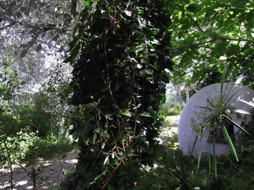 Casa Montecote Eco Resort - image 3