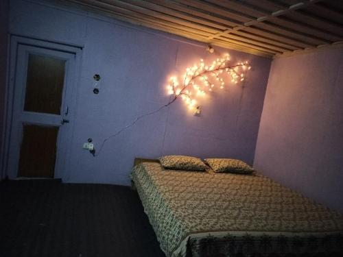 Dream Destination Camps in Sangla