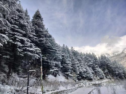 Dream Destination Camps in Sangla
