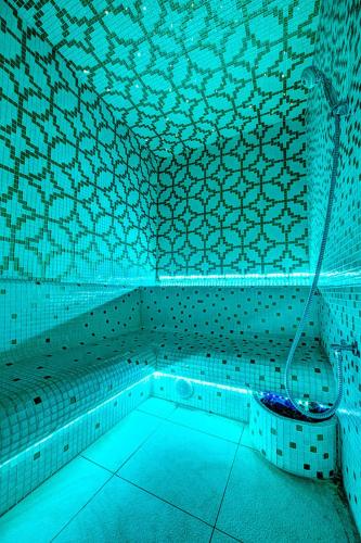 Karkonoski SPA - image 7