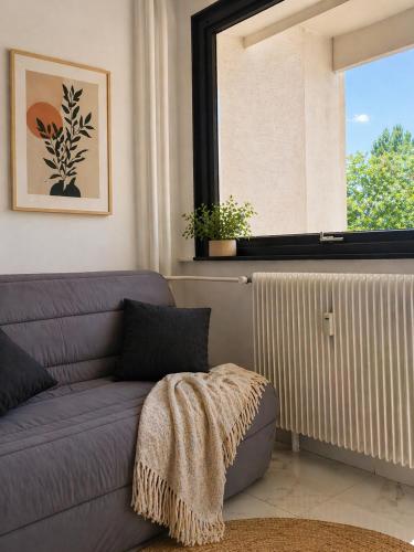 Le repos Alsacien - Location saisonnière - Schiltigheim