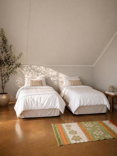 Emvembili Eco Lodge in Piggs Peak
