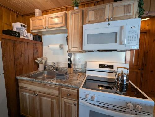 Cozy 2BR 1BA Cabin #6 Riverside Point Resort - image 3