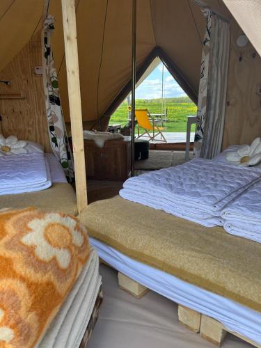Belltent 't Bievink - buitengewoon overnachten in Westendorp