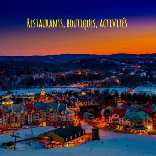 Le Vünik, Lac des Plages entre Tremblant Montebello (Le Vunik, Lac des Plages entre Tremblant Montebello) in Amherst (QC)
