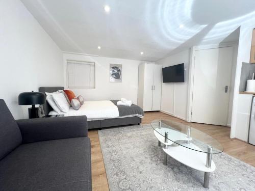 Central London Studio Apartment - image 5