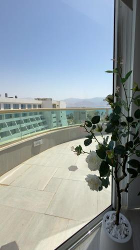 White Penthouse La Palmora in Eilat Beach