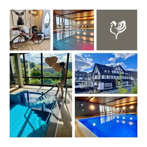 B&B Hotel GOLDENER HAHN - Hyggelige Budgetzimmer mit Panorama Hallenbad in Baiersbronn, Deutschland