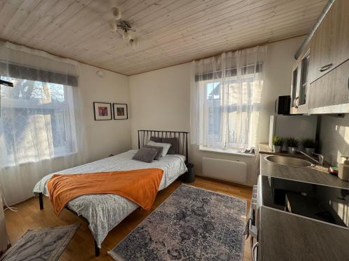 Laura comfy city apartment studio Kappeli 8-2 near Tallinn airport, next to the bus station