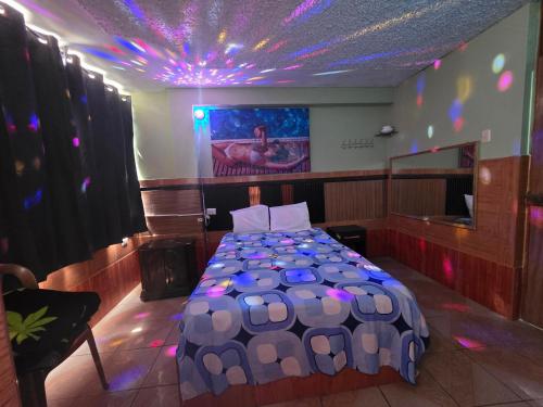 Hostal EL BOSQUE