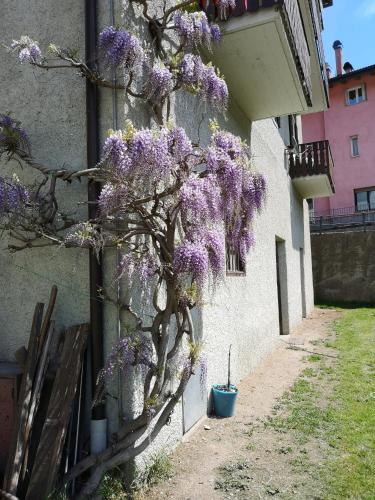 Appartamento vista Parco Adamello Brenta in Ossana