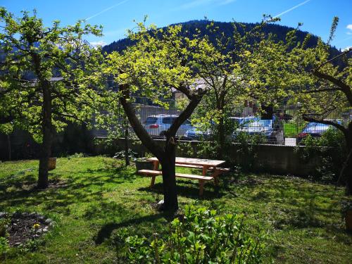 Appartamento vista Parco Adamello Brenta in Ossana