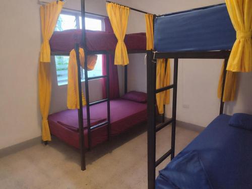1 twin bed