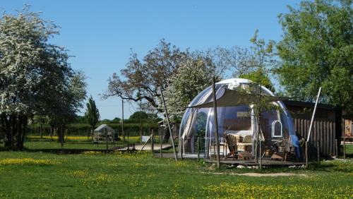 La Bulle des alpagas in Herry