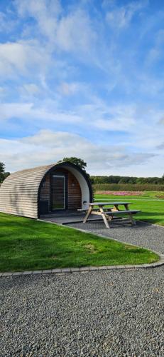 Eastridge Glamping - Camping Pods 3