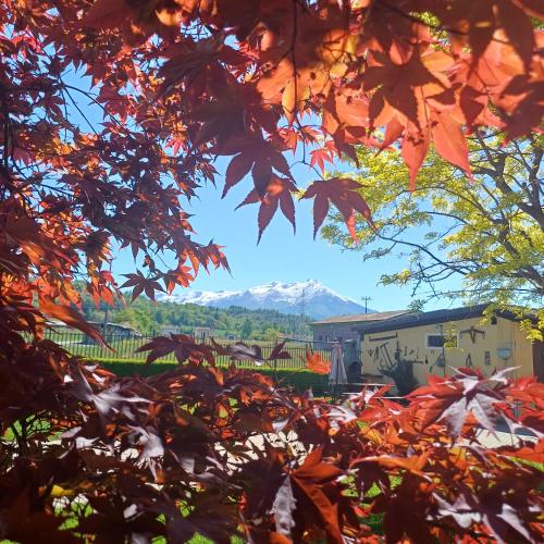 ACERO ROSSO in Pianfei