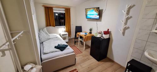 Haus Hoogendam in Leoben, Österreich