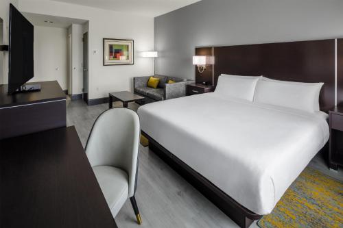 Holiday Inn - Sarasota Bradenton Airport an IHG Hotel - image 43
