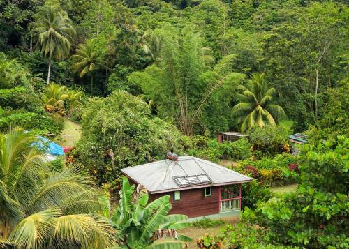 3 Rivers Eco Lodge in Rosalie