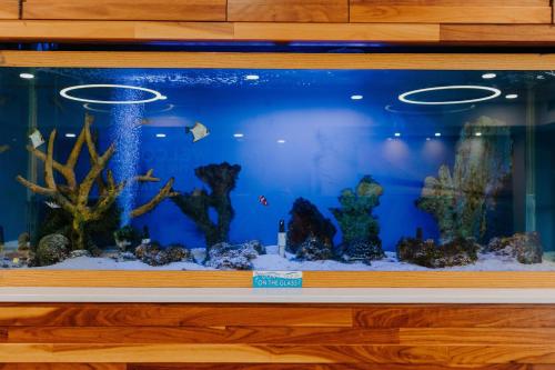 Hampton Inn Rehoboth Beach - image 39