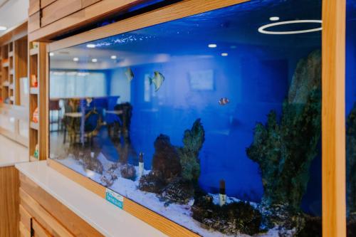 Hampton Inn Rehoboth Beach - image 38