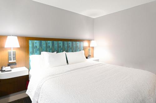 Hampton Inn Richmond-West Innsbrook - image 21