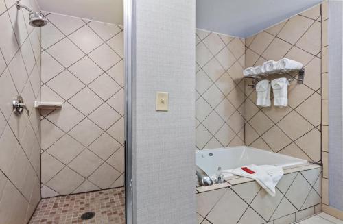 Hilton Garden Inn Starkville - image 21