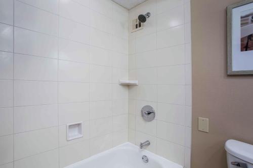 Embassy Suites Lexington - image 38