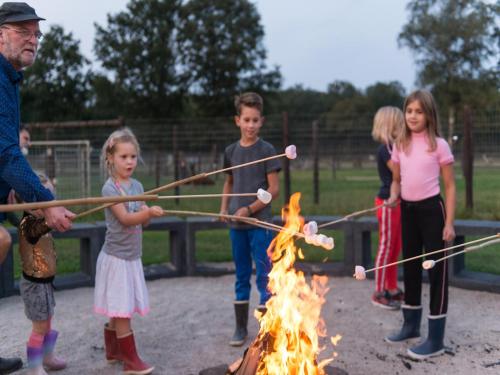 Alpacafarm Vorstenbosch - image 19